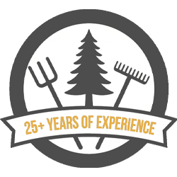 25+ Years Experience